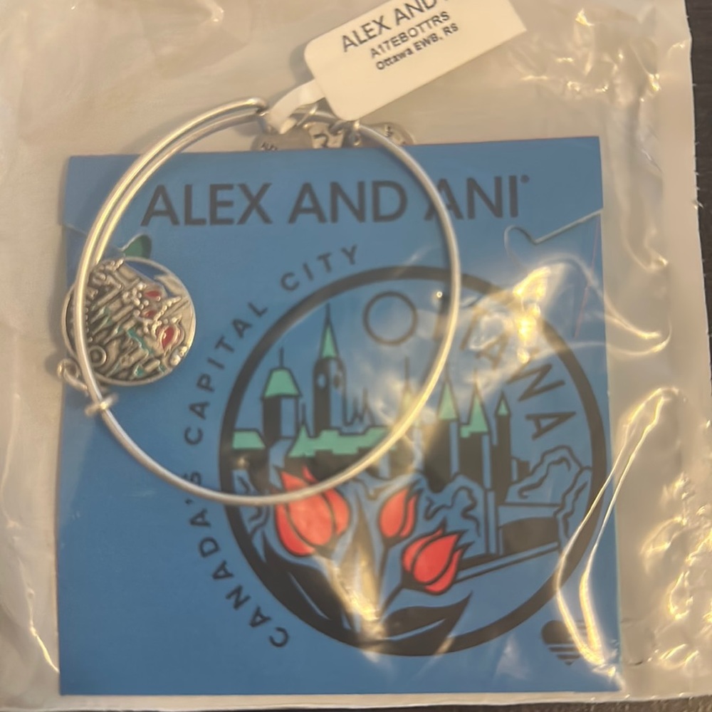 Ottawa Charm Bangle by Alex and Ani